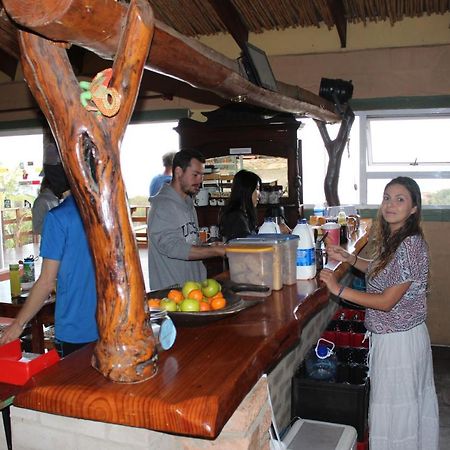 The Wild Farm Backpackers Pansiyon Wildernis Dış mekan fotoğraf